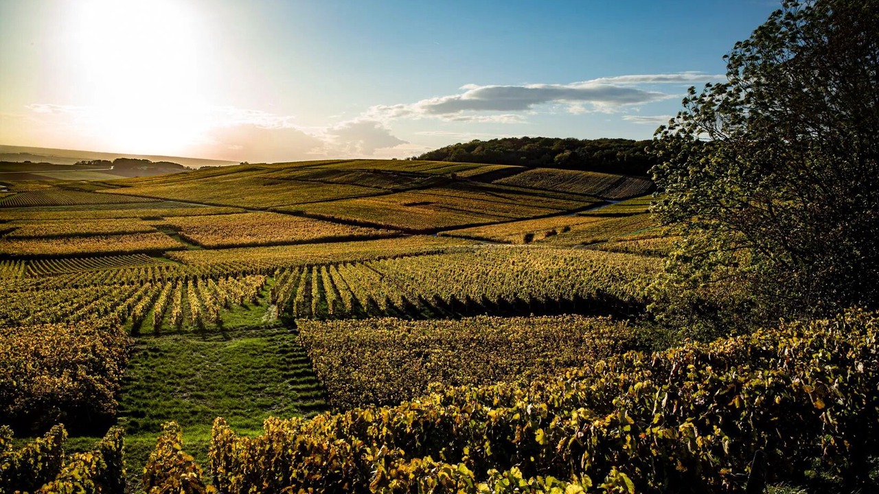 Photo of Others in Prouilly