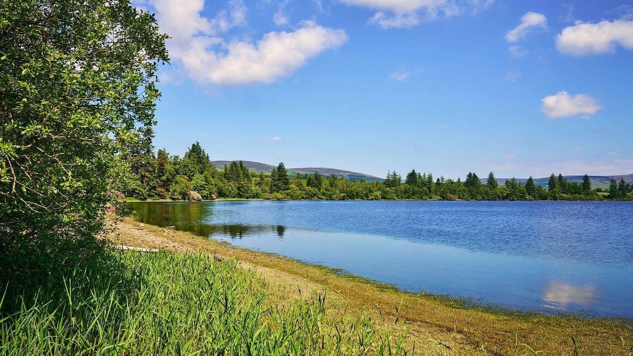 Photo of Others in Blairgowrie