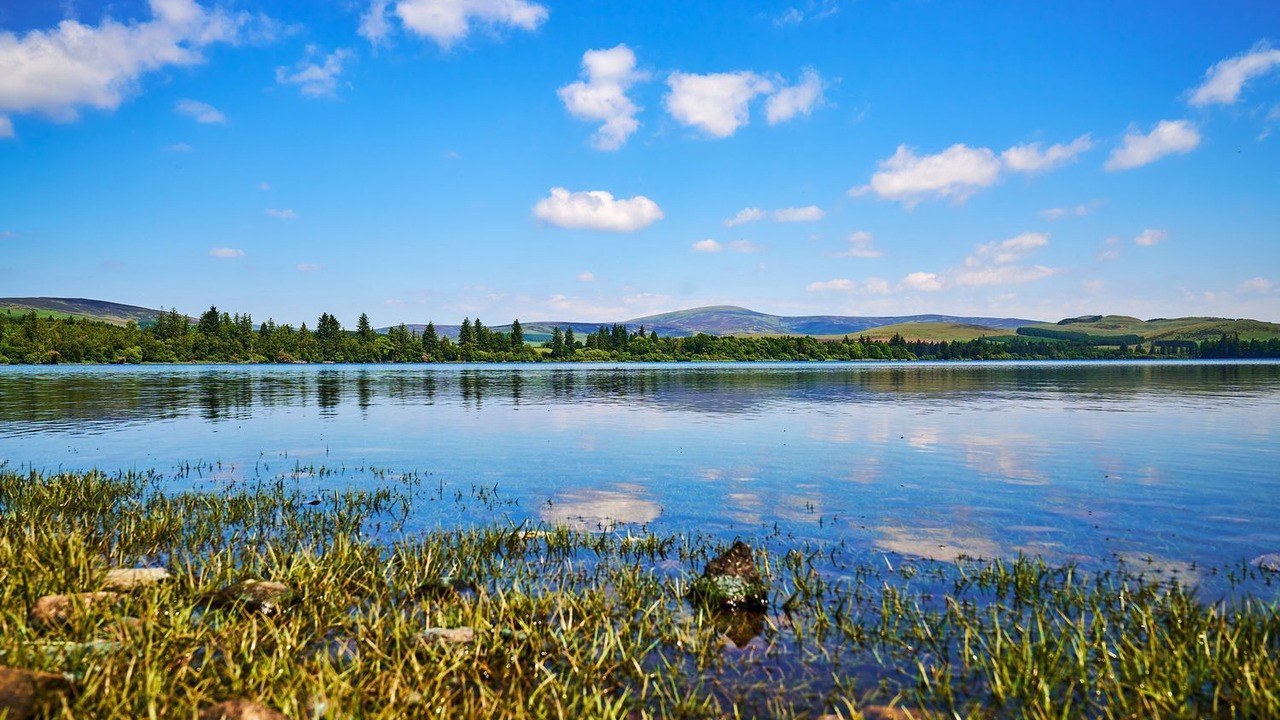 Photo of Others in Blairgowrie