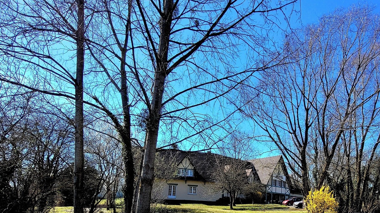 Photo of Outdoor in Saint-Martin-des-Marais