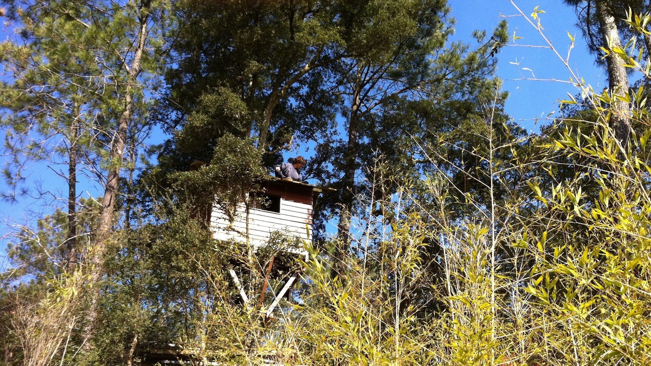 Photo of Others in Labenne