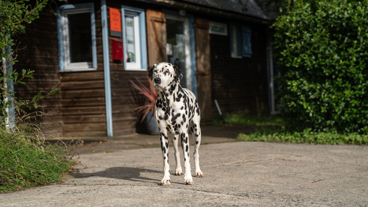 Photo of Others in Colleville