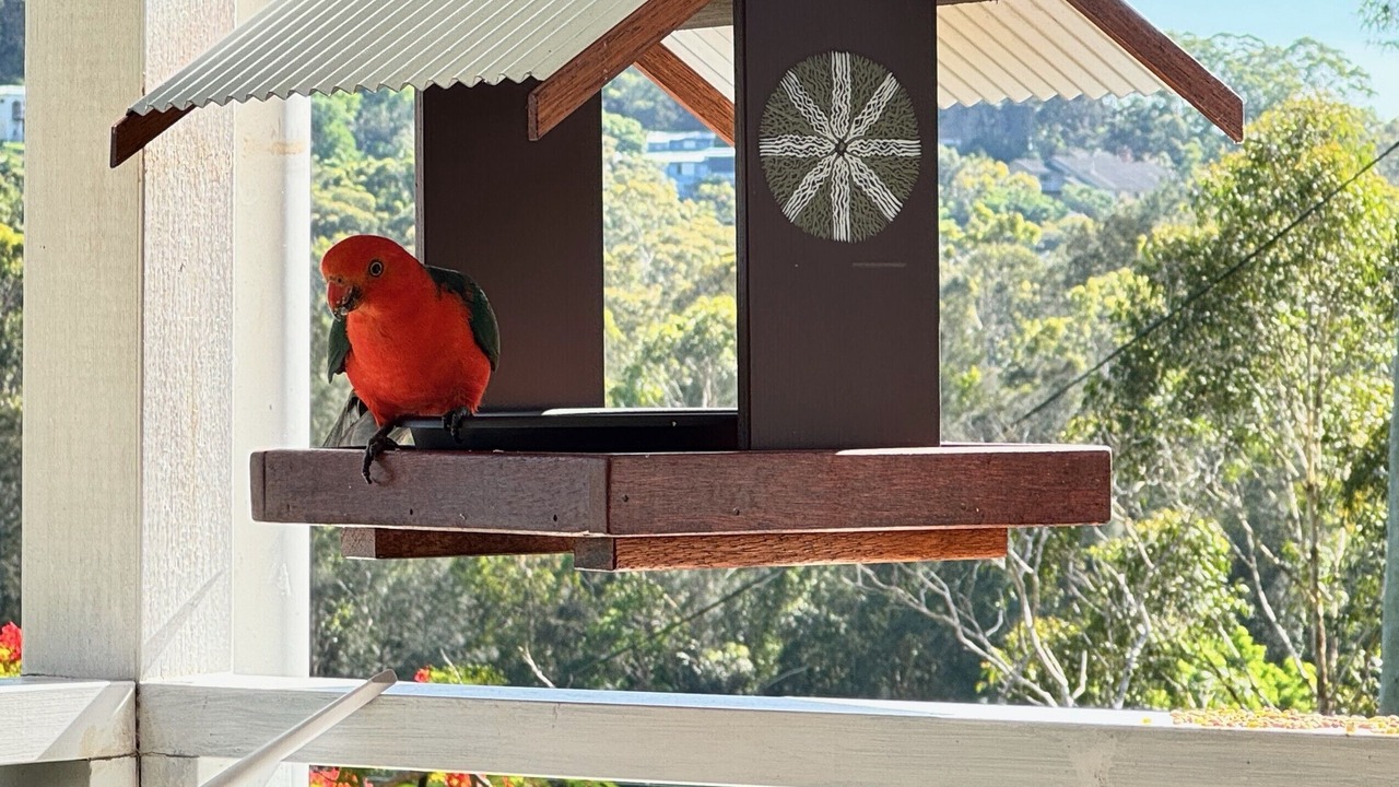 Photo of Others in Emerald Beach