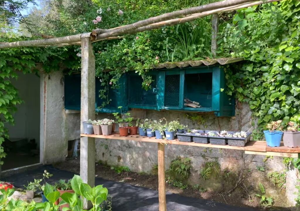 Photo of Outdoor in Serralongue