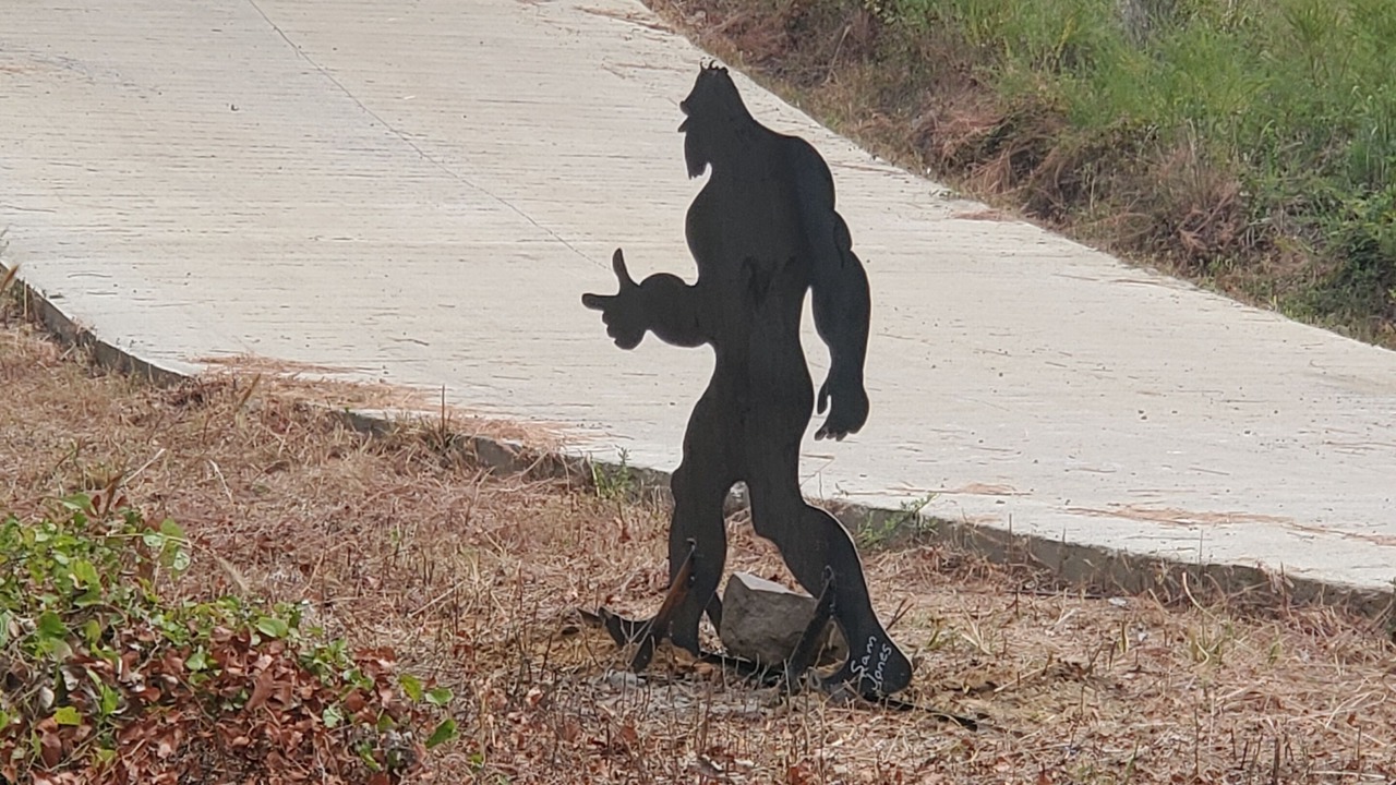Photo of Others in Pickens