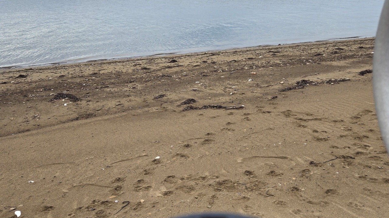 Photo of Others in Richibucto