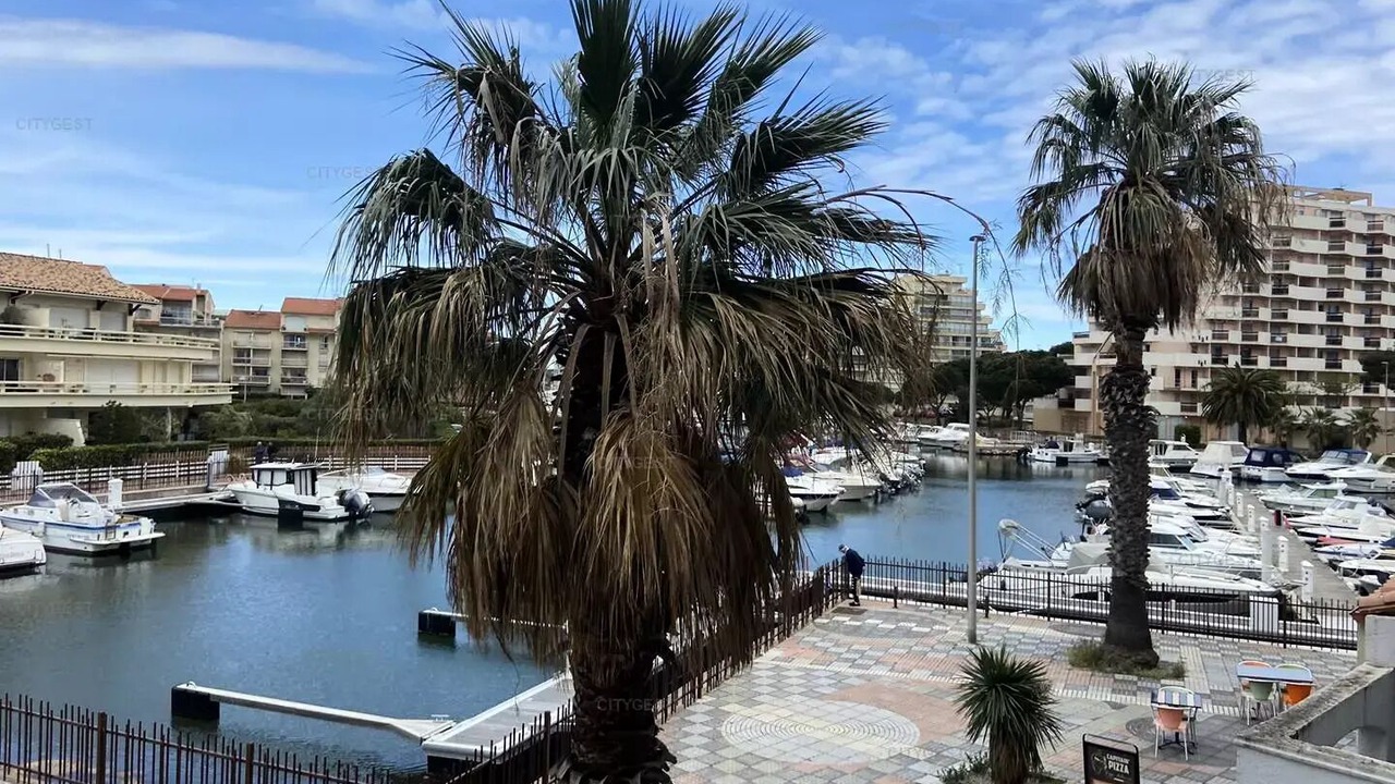 Photo of Others in Le Port