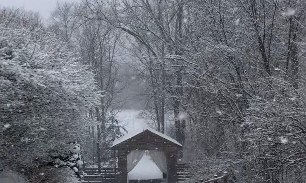 Photo of Others in Fenton