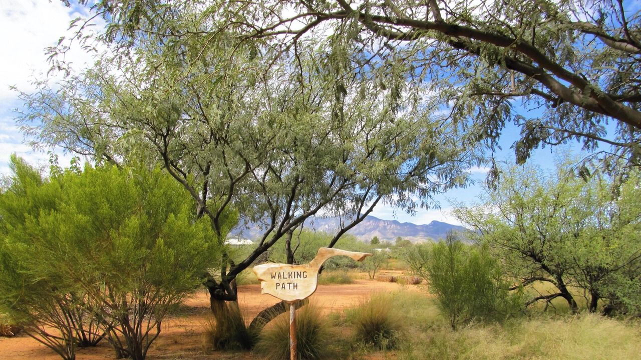 Photo of Others in Sierra Vista Southeast
