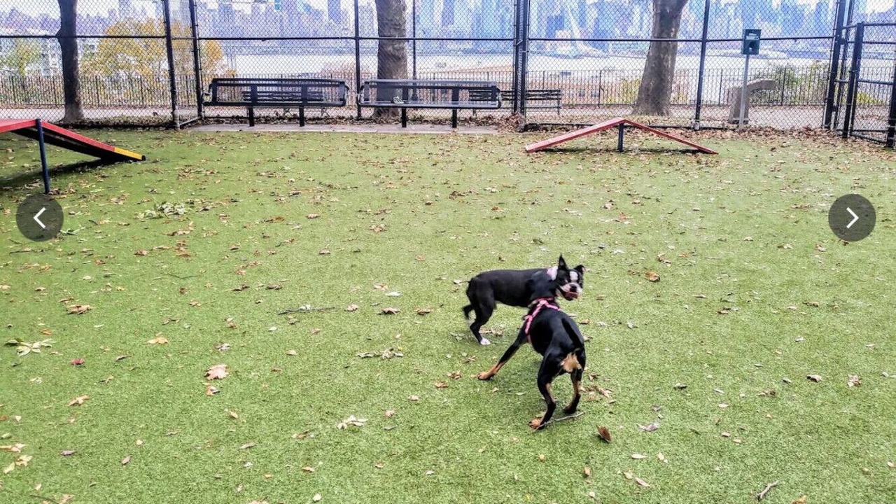 Photo of Outdoor in West New York