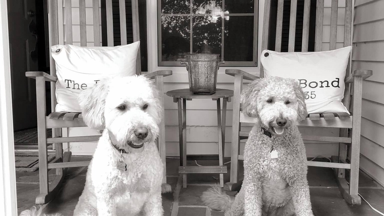 Photo of Patio Balcony in Skaneateles