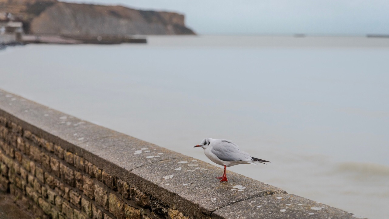 Photo of Others in Arromanches-les-Bains