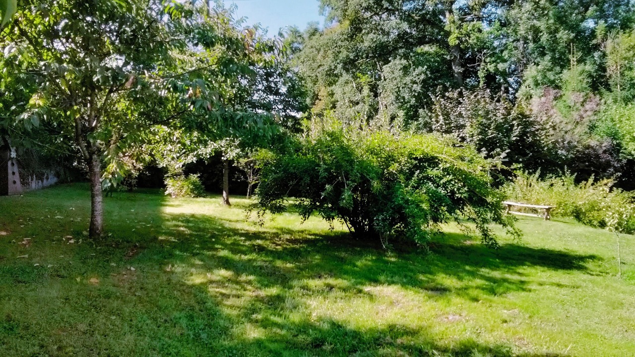 Photo of Outdoor in Saint-Die