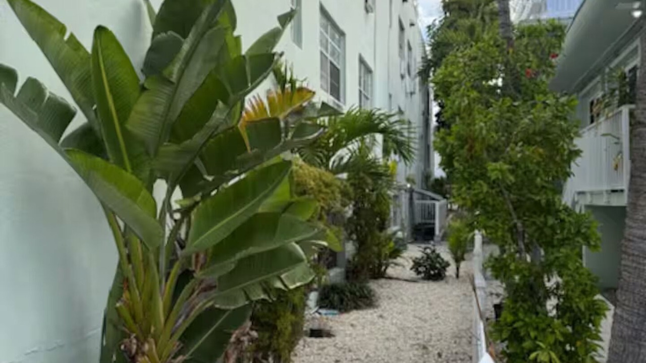 Photo of Outdoor in Surfside