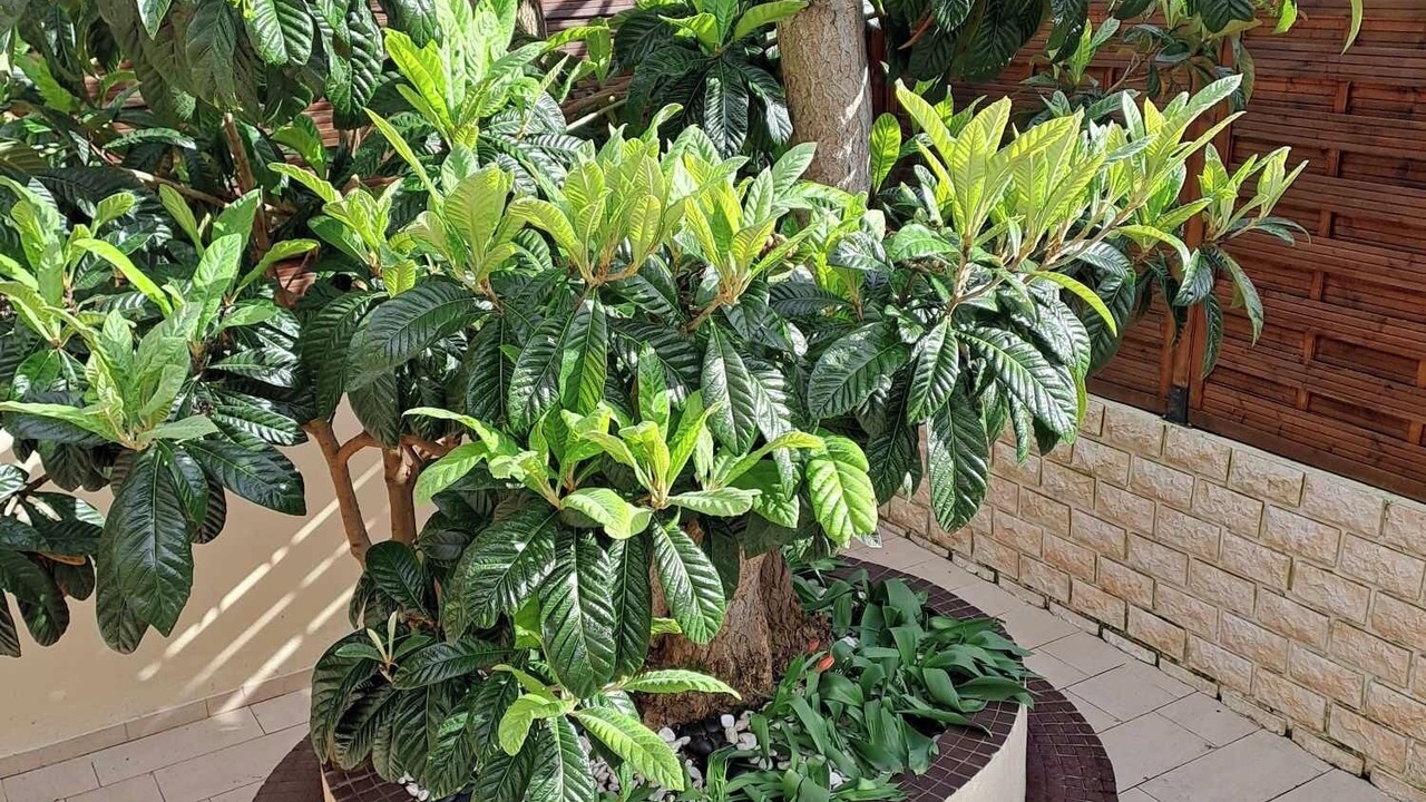 Photo of Outdoor in Antony