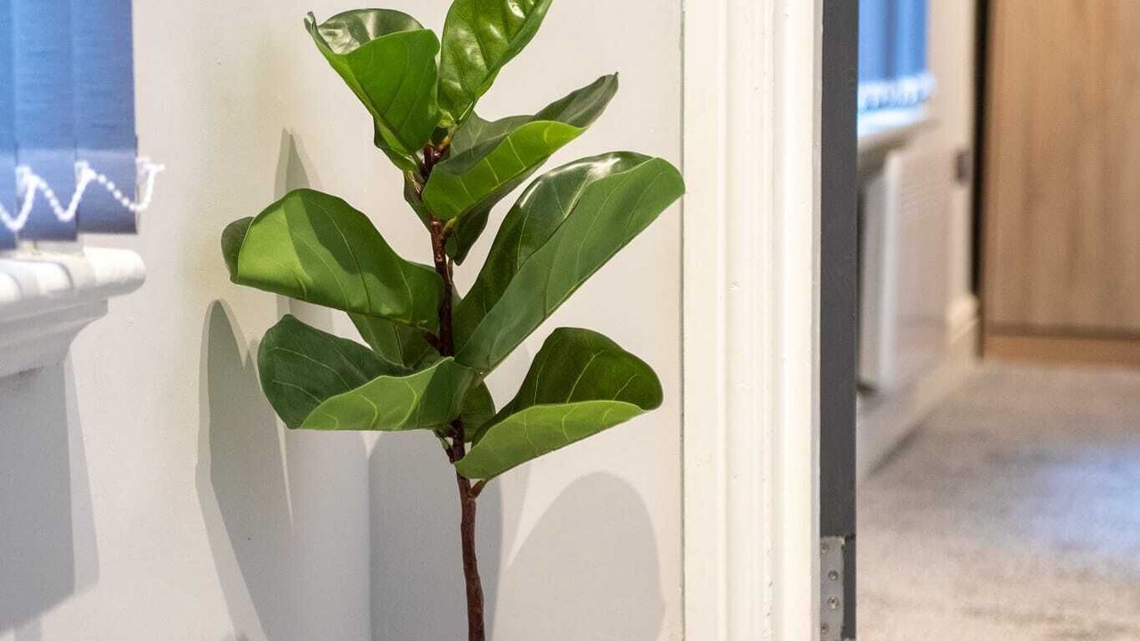 Photo of Others in Withington