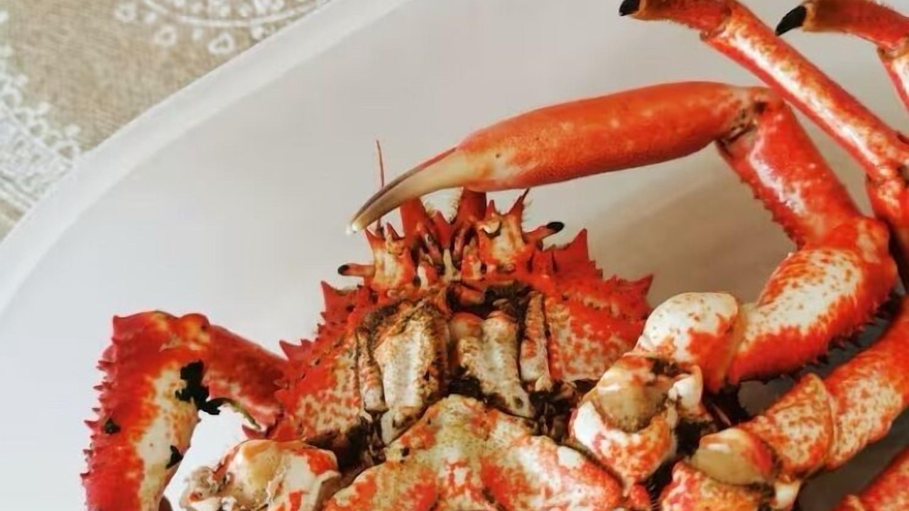 Photo of Others in Lampaul-Plouarzel