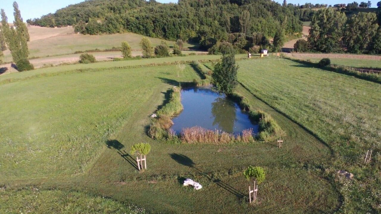 Photo of Outdoor in Cazes-Mondenard