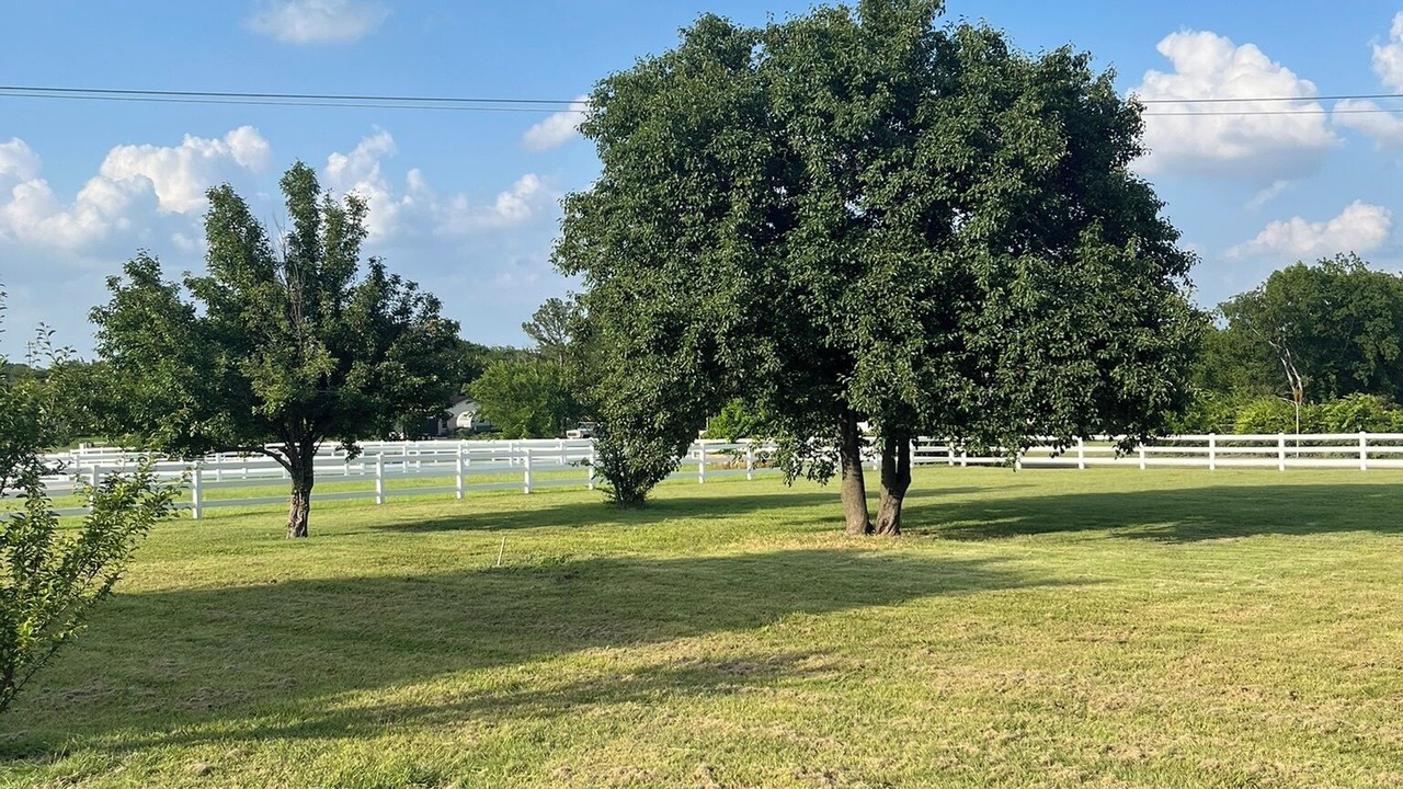 Photo of Outdoor in Keller