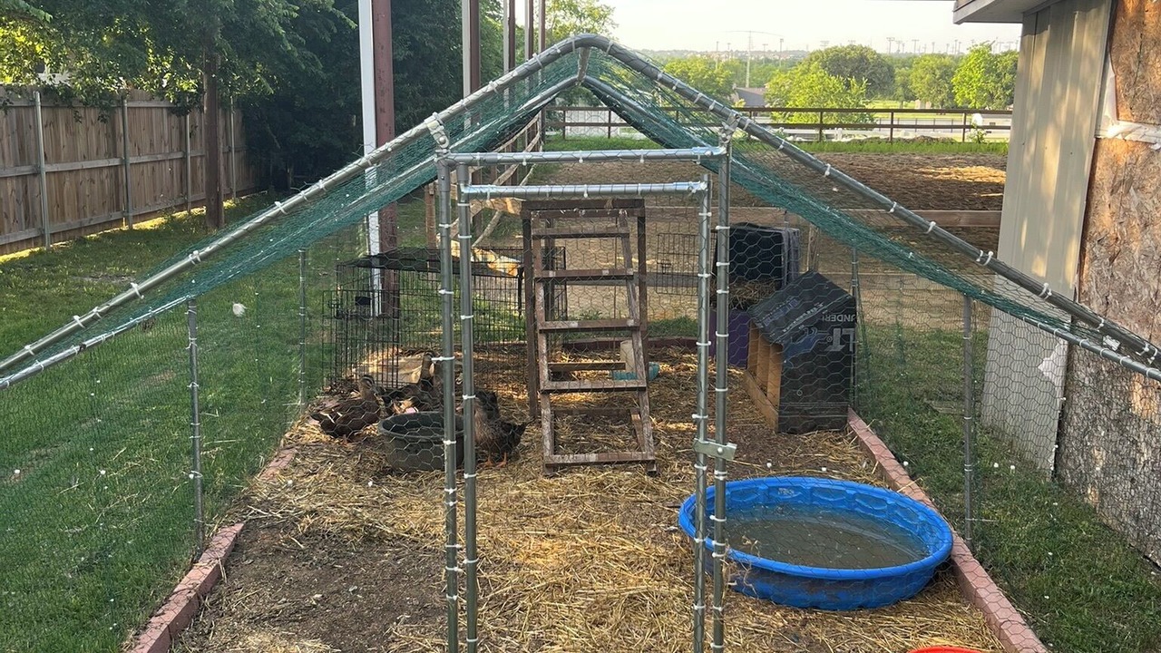 Photo of Outdoor in Keller