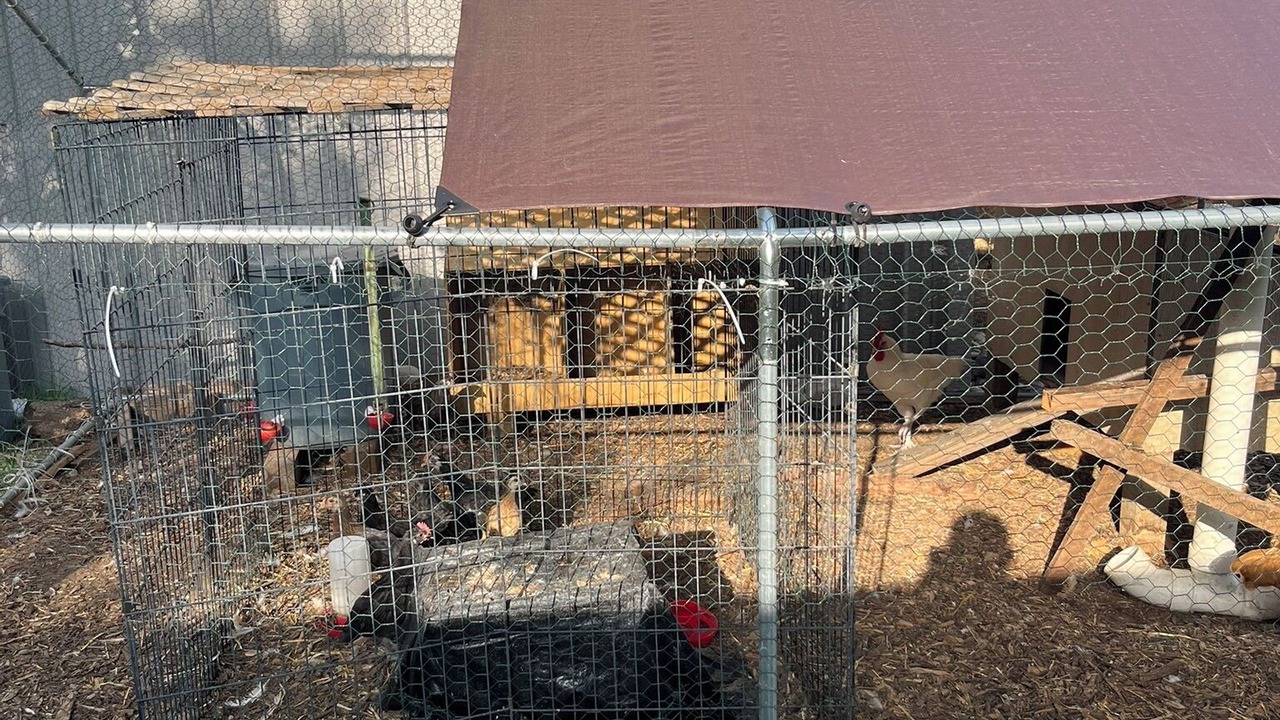 Photo of Outdoor in Keller