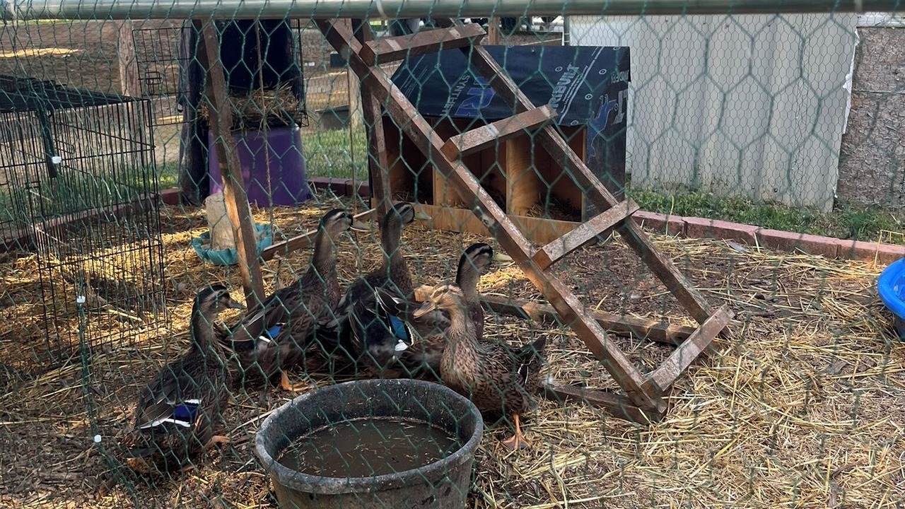 Photo of Others in Keller
