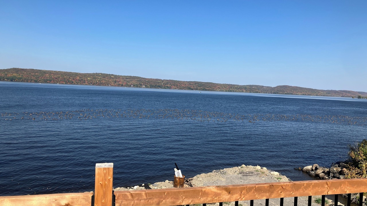 Photo of Outdoor in Champlain
