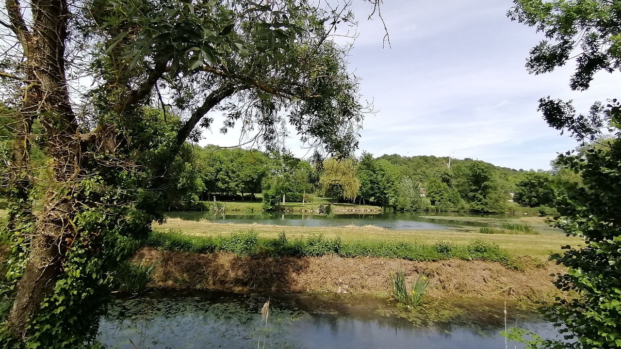 Photo of Others in Saint-Jacques-des-Guerets