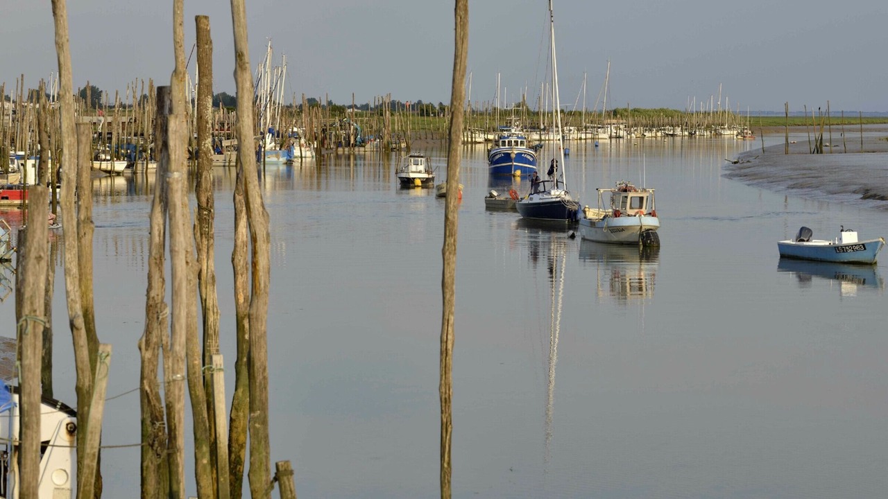 Photo of Others in LʼAiguillon-sur-Mer