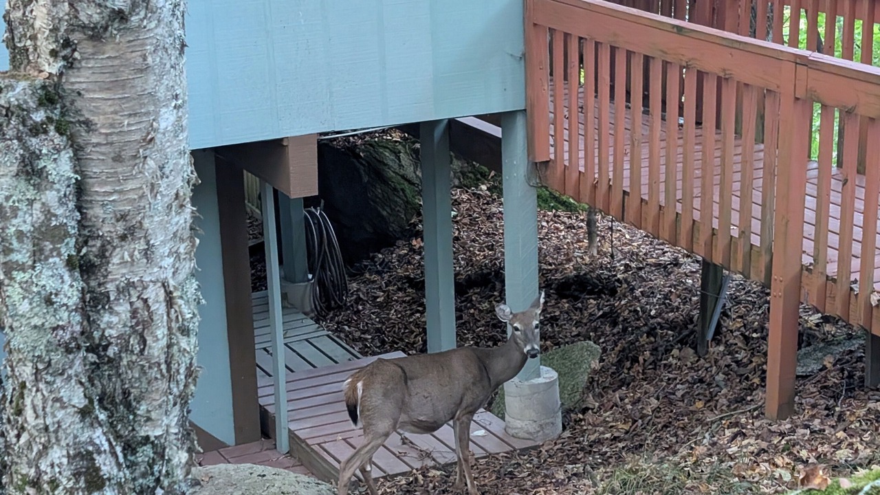 Photo of Outdoor in Beech Mountain