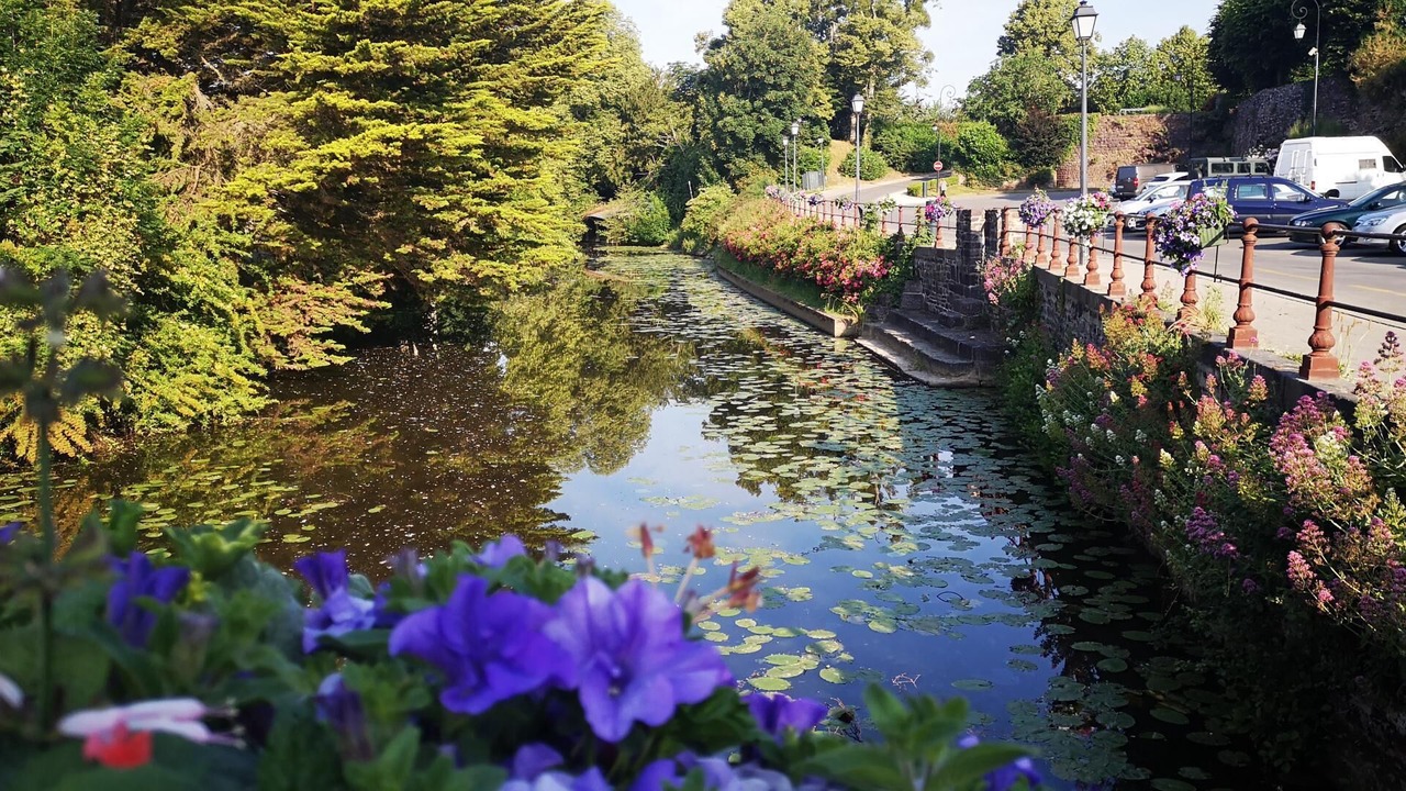 Photo of Others in Quartier Villejean - Beauregard