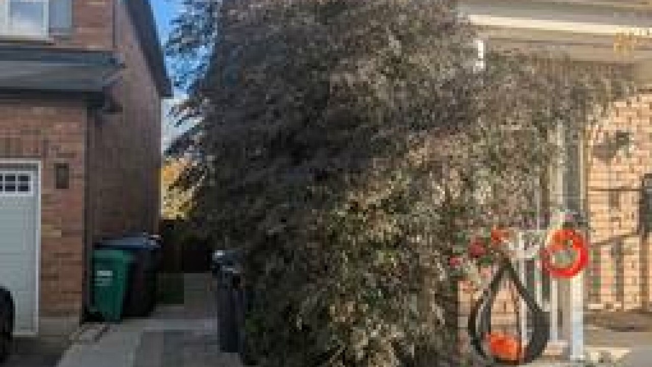 Photo of Outdoor in Brampton