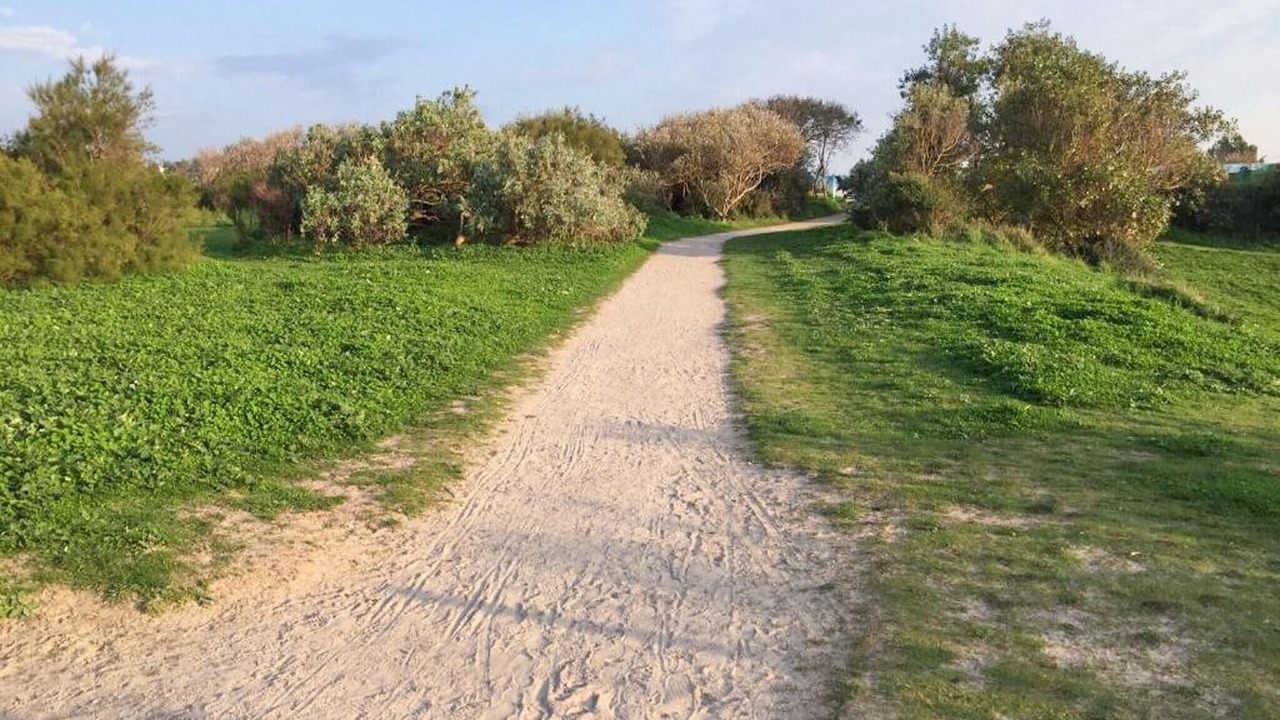 Photo of Others in Dunkirk