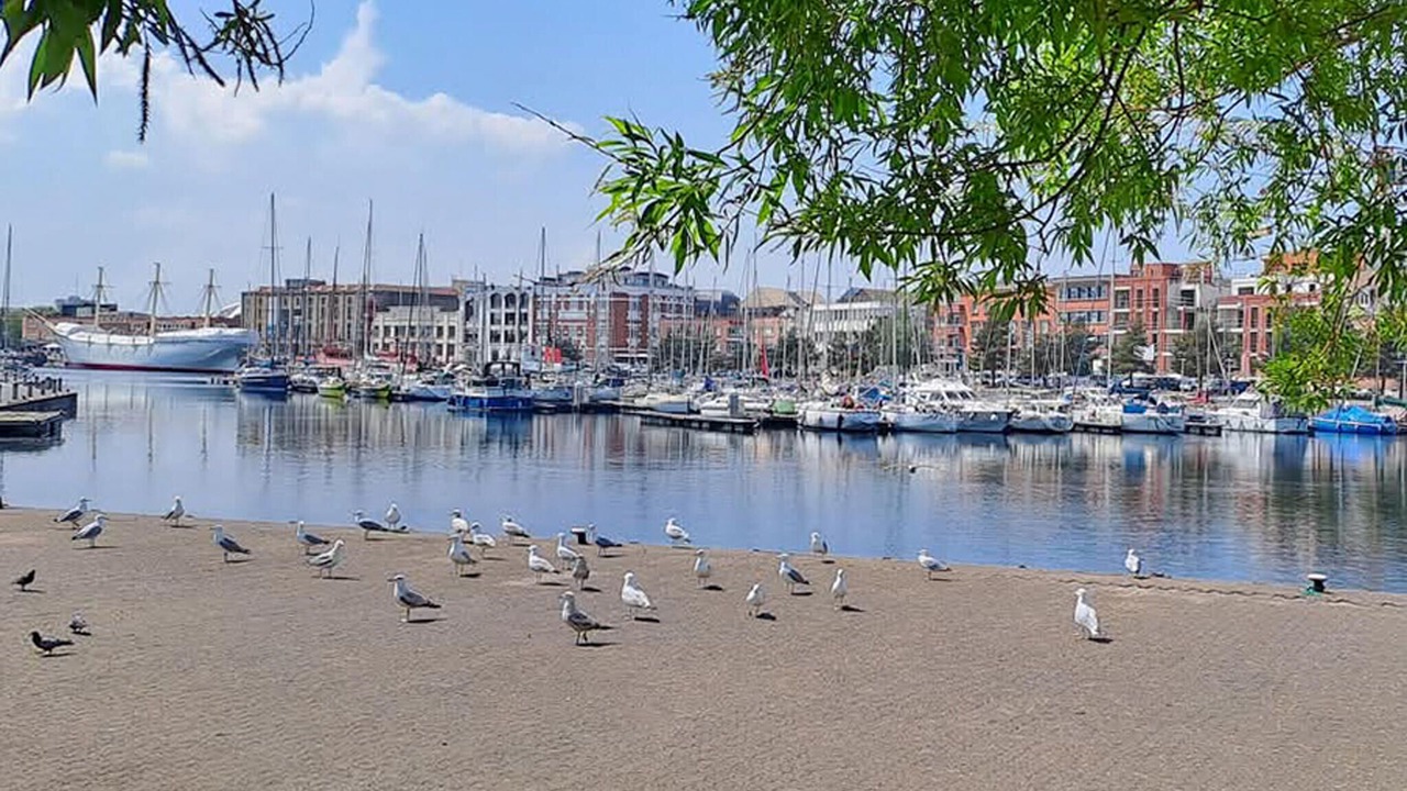 Photo of Others in Dunkirk