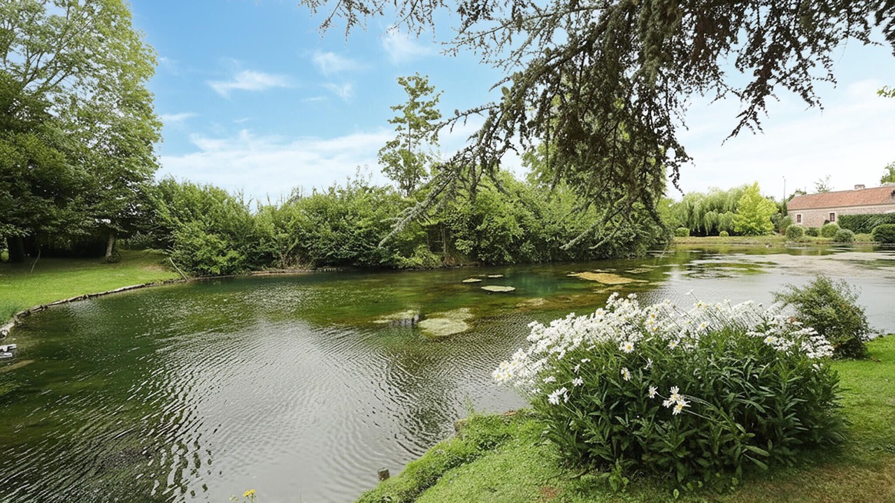Photo of Others in Thun-Saint-Martin