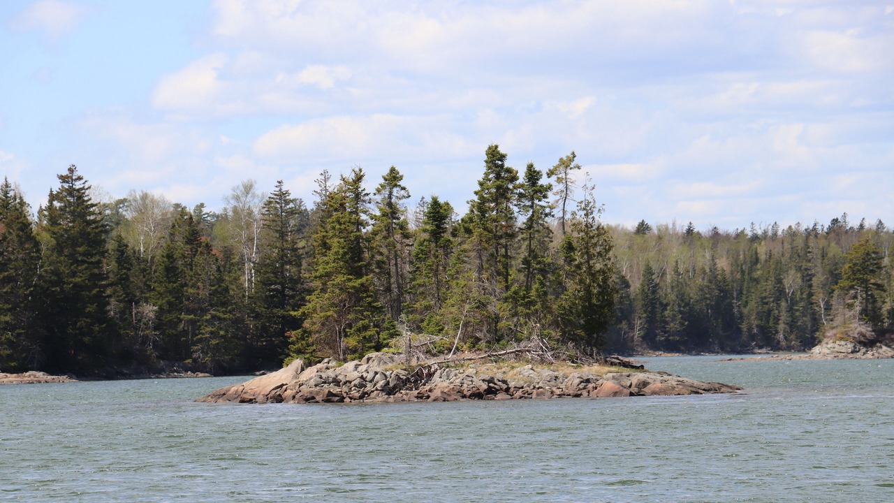 Photo of Others in Lubec