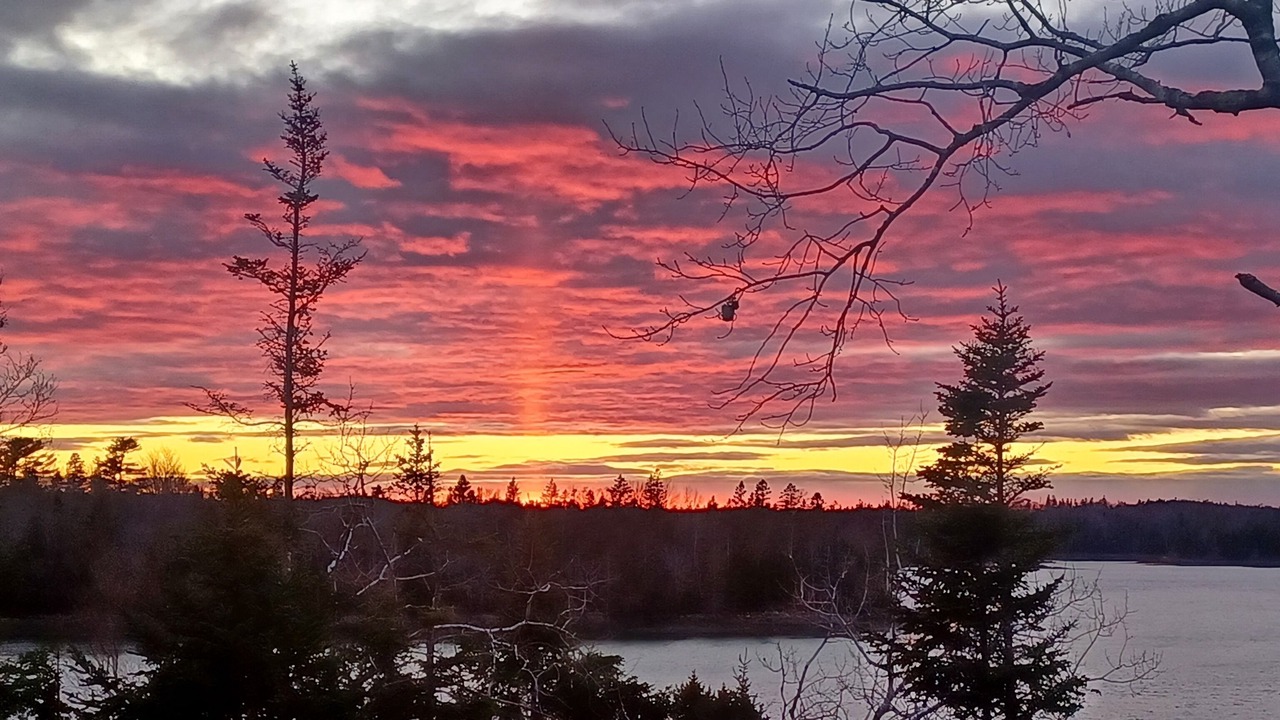 Photo of Others in Lubec