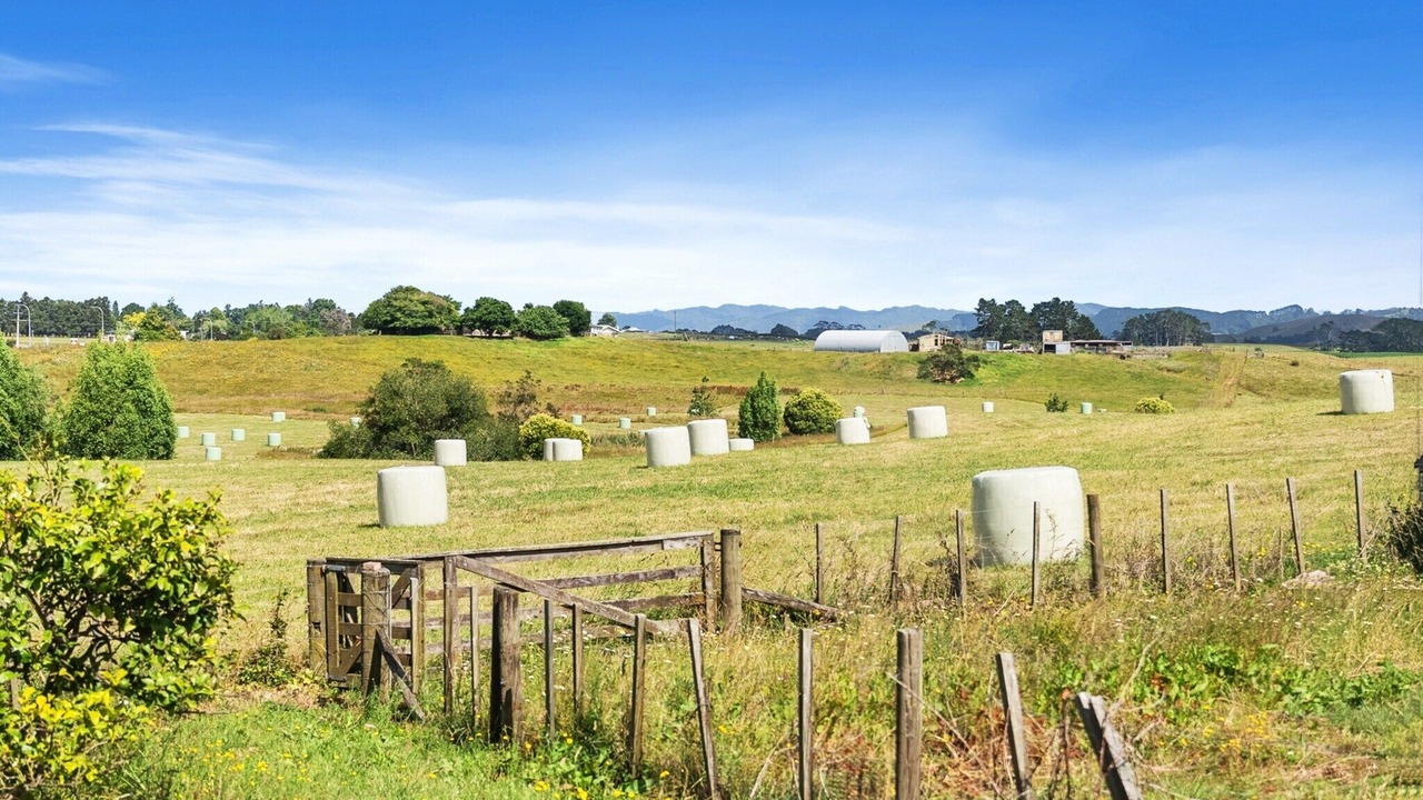 Photo of Outdoor in Maramarua