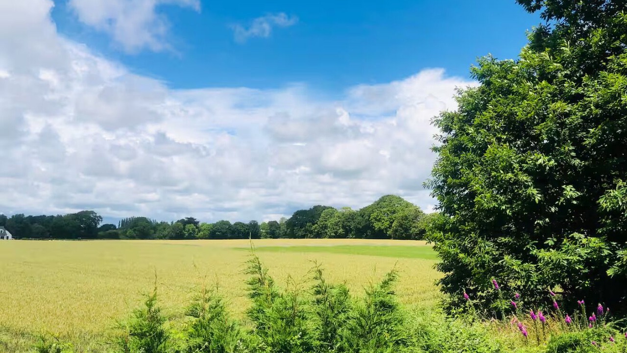 Photo of Others in Mellac