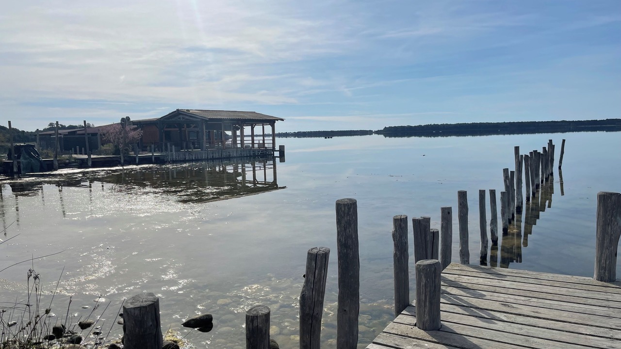 Photo of Others in Solenzara