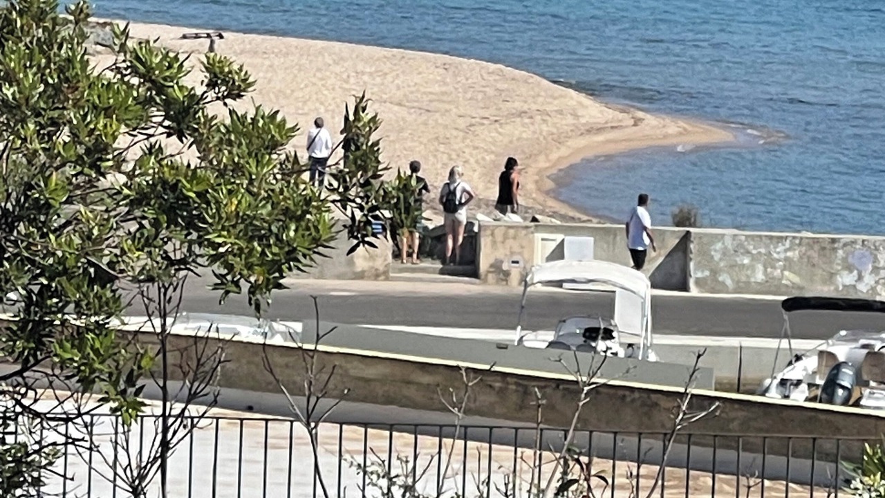 Photo of Others in Solenzara