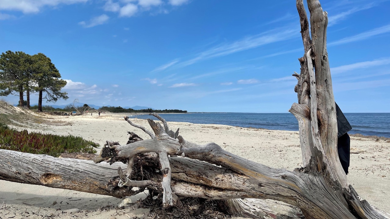 Photo of Others in Solenzara