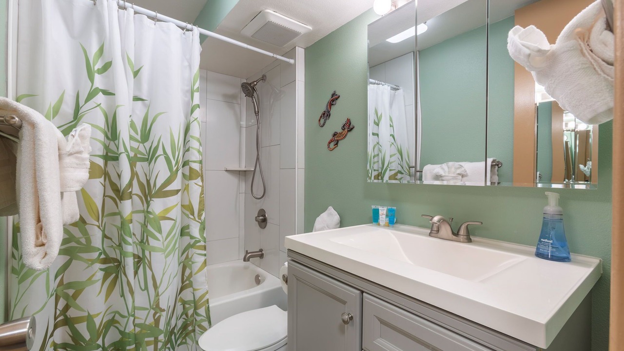 Photo of Bathroom in Honokowai