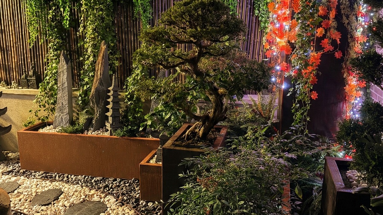 Photo of Outdoor in Romainville