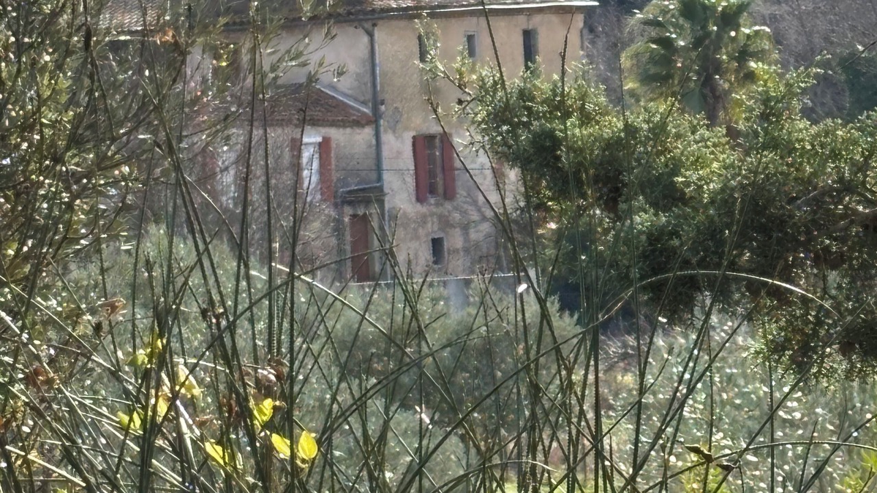 Photo of Others in Nebian