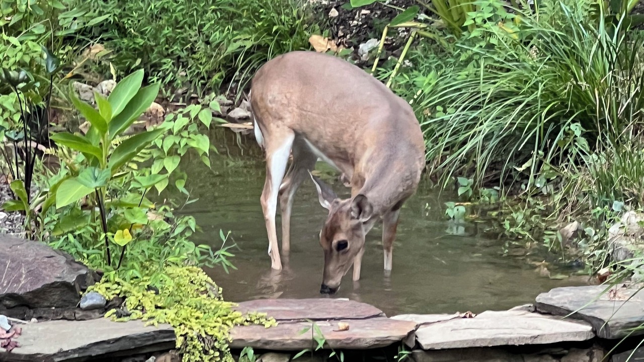 Photo of Others in Jones Mills