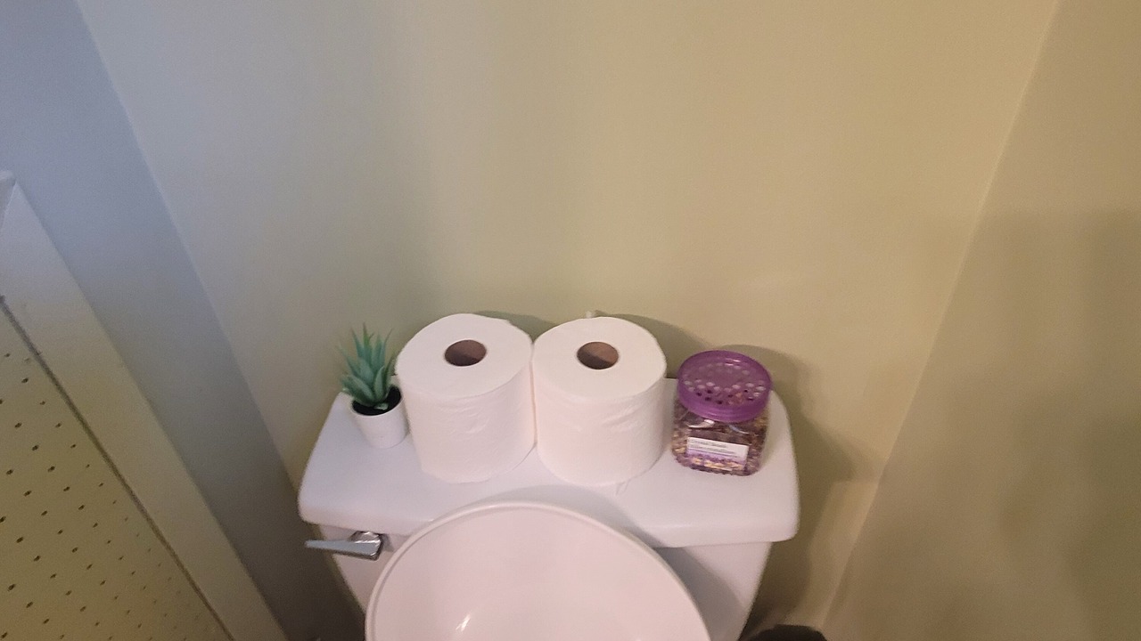 Photo of Bathroom in Chatham-Kent