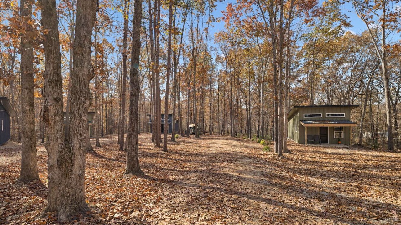 Photo of Outdoor in Lewis County