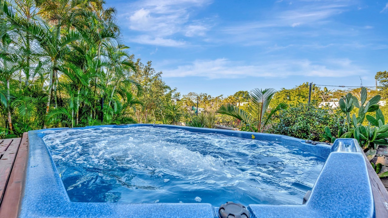 Photo of Others in Palmetto