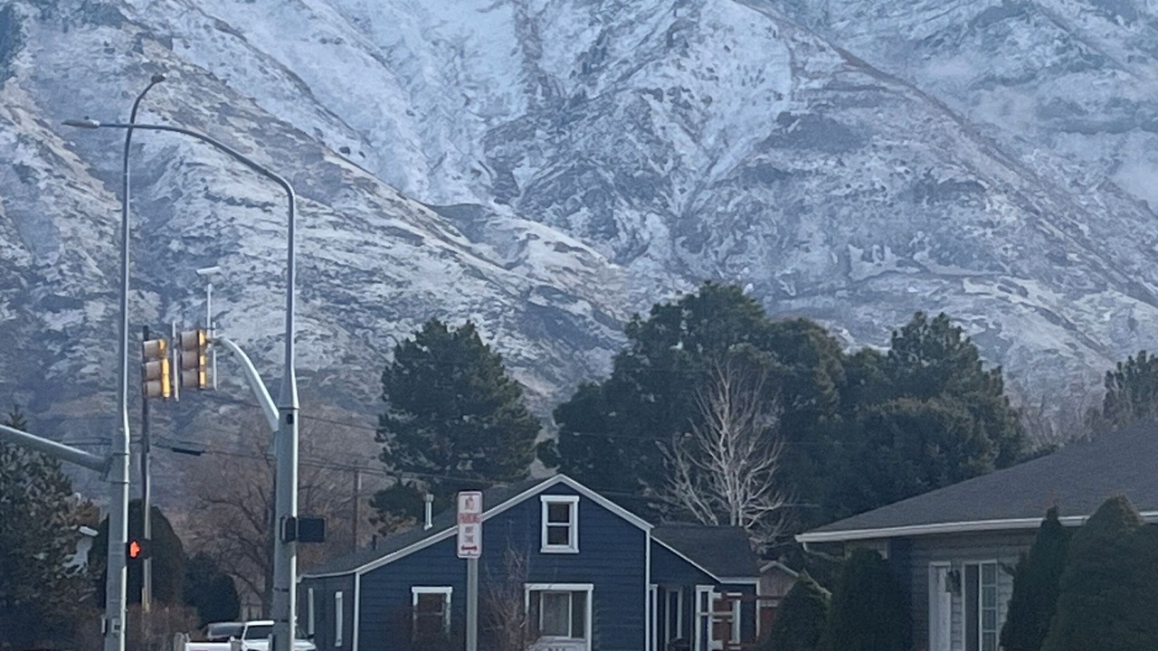Photo of Others in Provo Bay